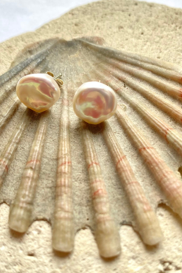 Pair of pearl earrings on a large shell with a white background