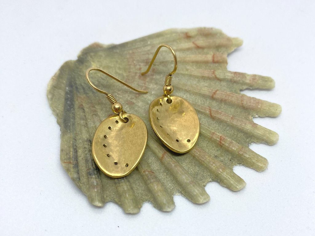 Gold earrings on a large shell with a white background