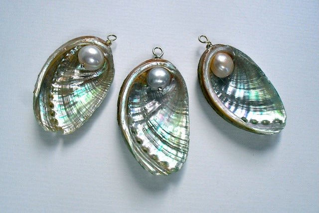 Three ormer shells with embedded pearls on a light gray background