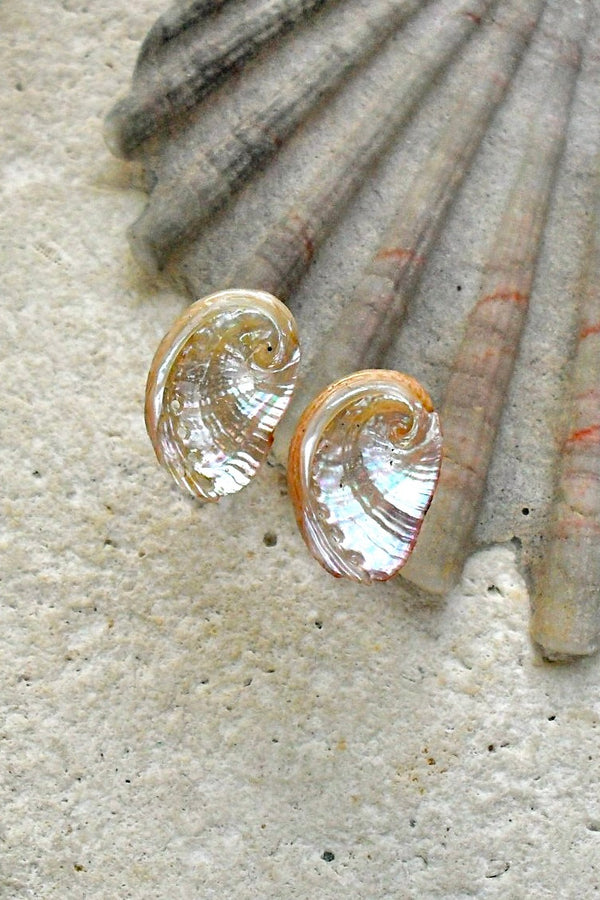 Shell-shaped earrings on a stone surface