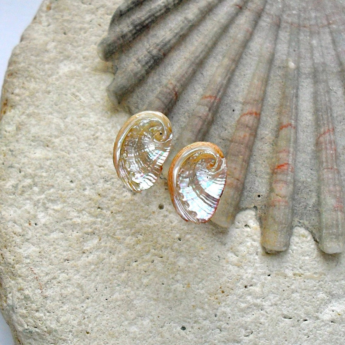 Shell-shaped earrings on a stone surface