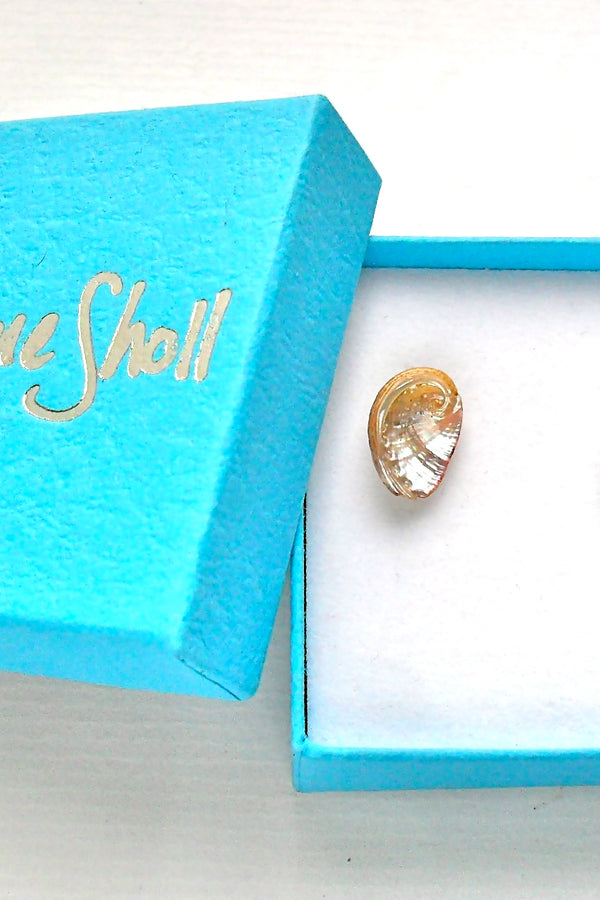 Gold coloured ormer shell earrings in a blue box with 'Athene Sholl' branding.