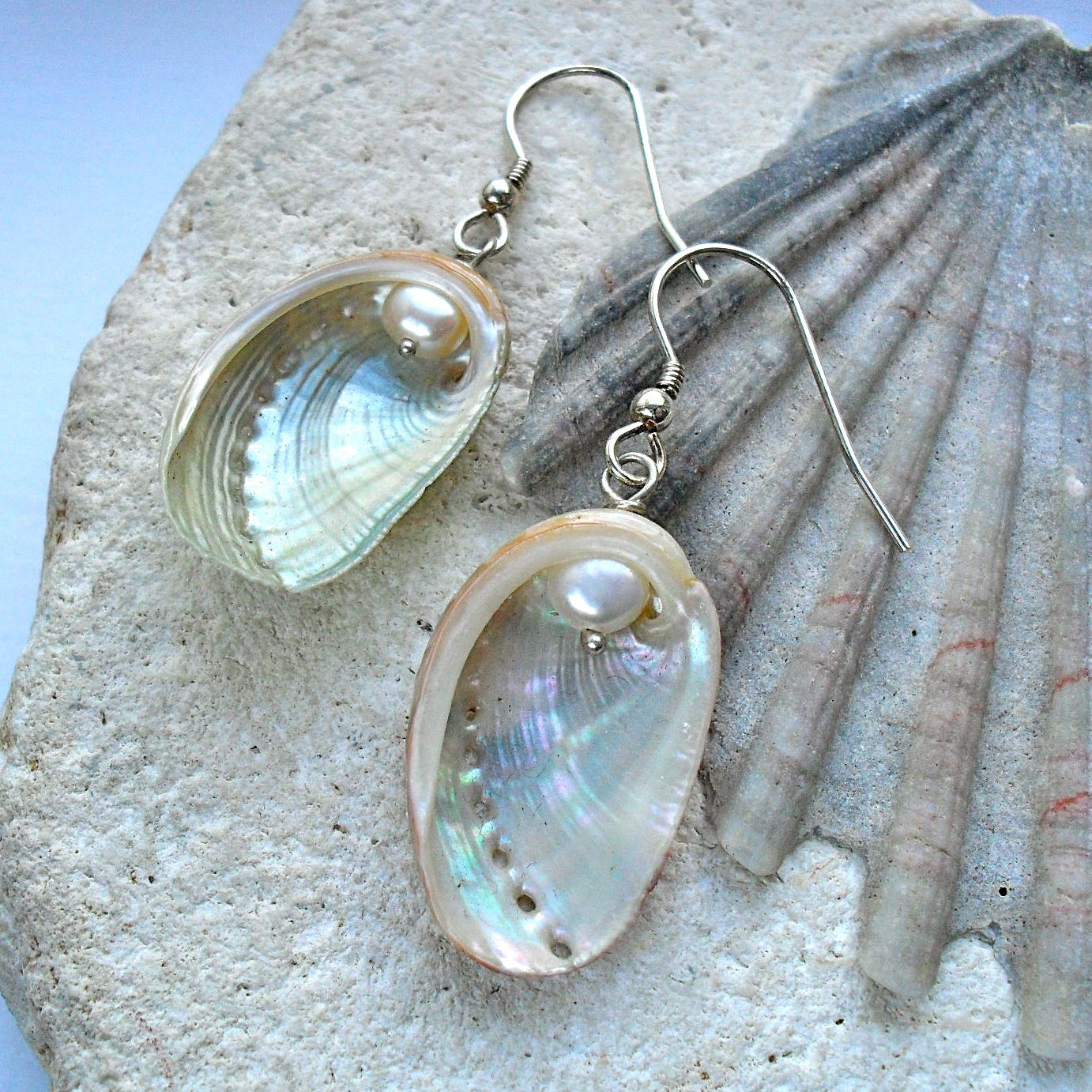 Guernsey Ormer Shell and pearl earrings on a stone surface with a shell background