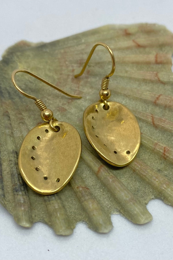 Guernsey Ormer shell earrings in 9ct yellow gold displayed on a shell background