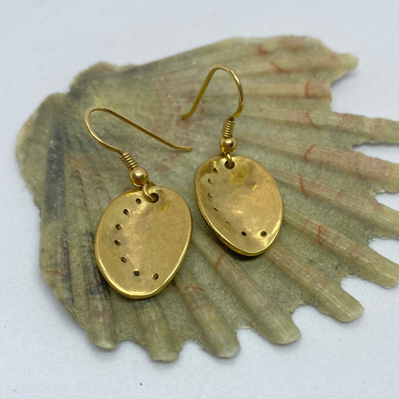 Guernsey Ormer shell earrings in 9ct yellow gold displayed on a shell background