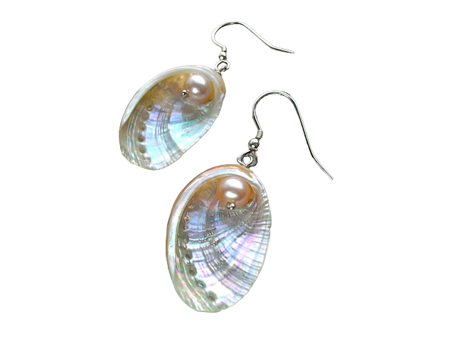 Guernsey Ormer shell hook earrings with pink freshwater pearls