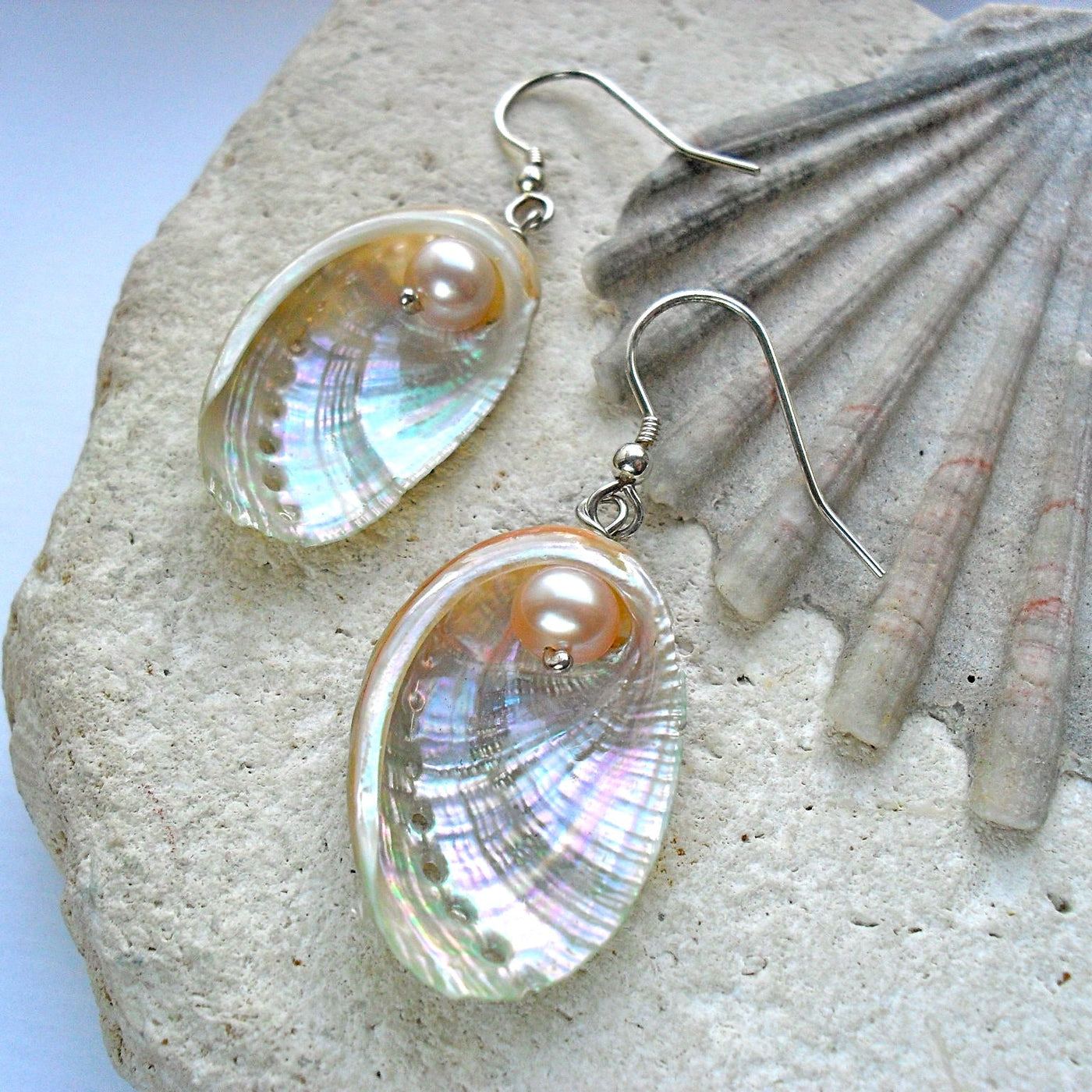 Guernsey Ormer Shell earrings on a rock with a shell background