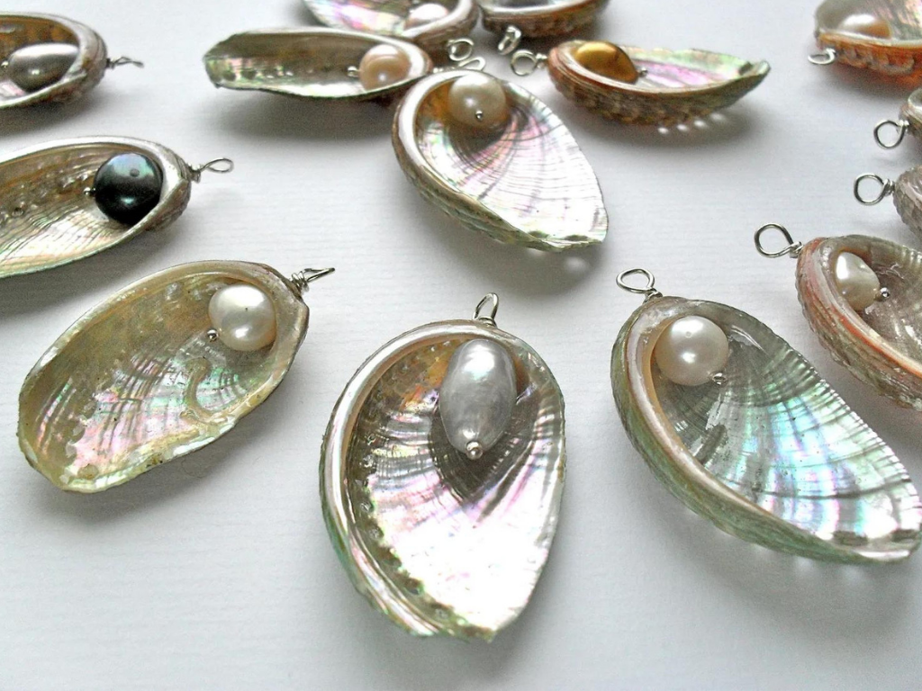 Ormer Shell Pendants with Pearls