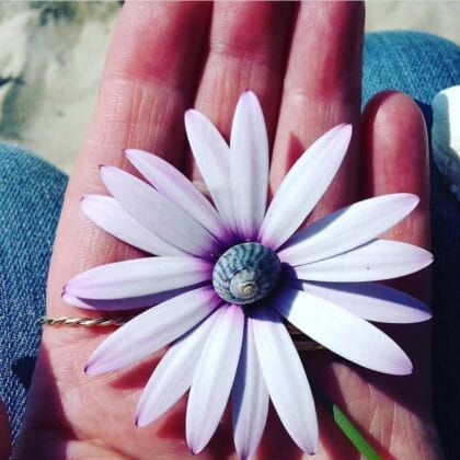 Art Foraging Workshop with Athene Sholl